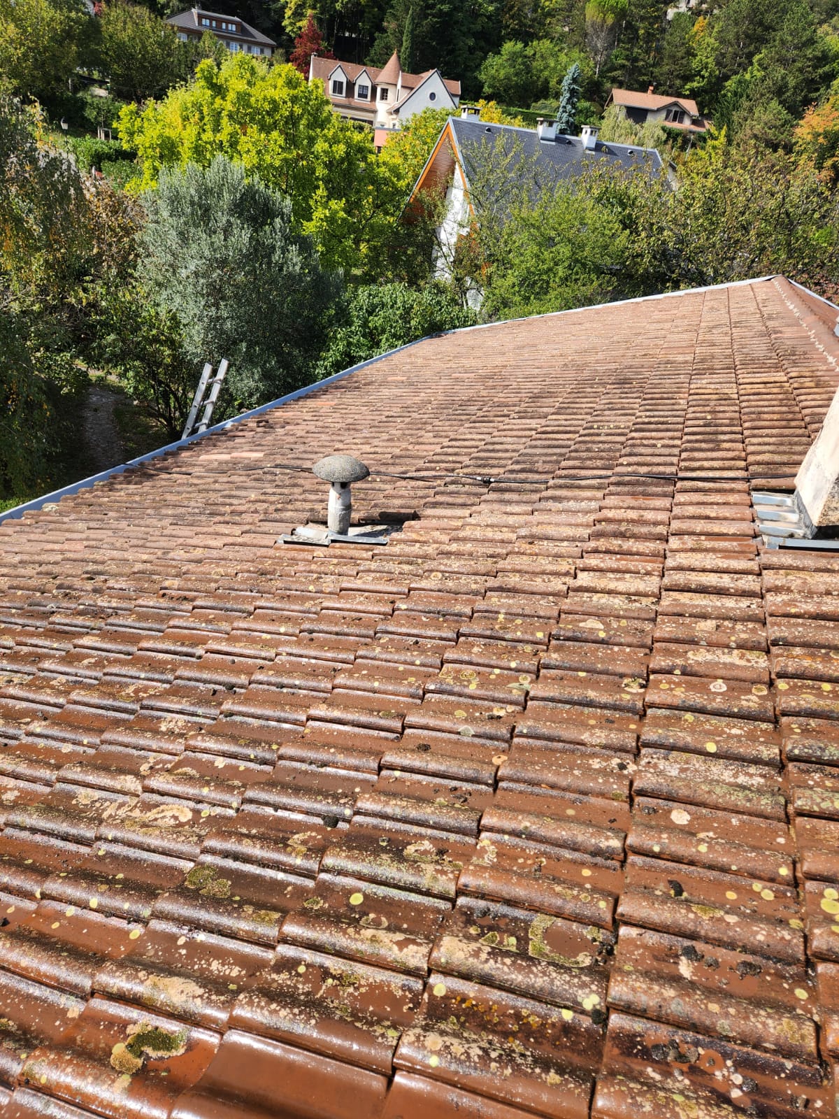 Réfection toiture liteaux grue